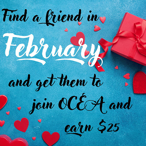 Find a Friend in February